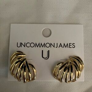 Uncommon James earrings